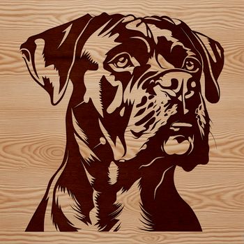 A vector illustration of a Boxer's head, featuring a short muzzle and floppy ears.