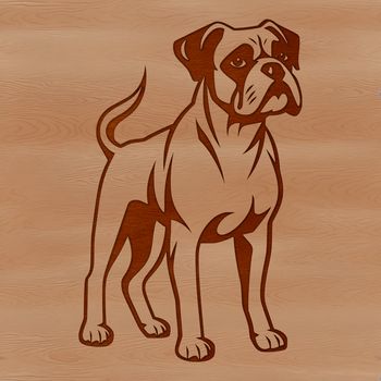 A detailed illustration of a standing Boxer dog with a sturdy build and distinctive face.