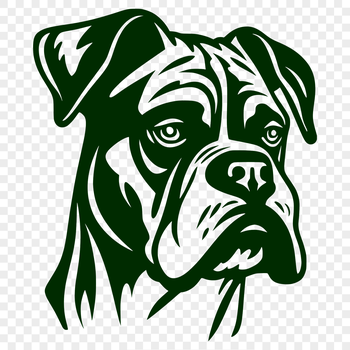 A detailed illustration of a Boxer dog's head with prominent facial features.