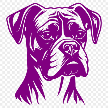 A realistic illustration of a Boxer dog's head from various angles.