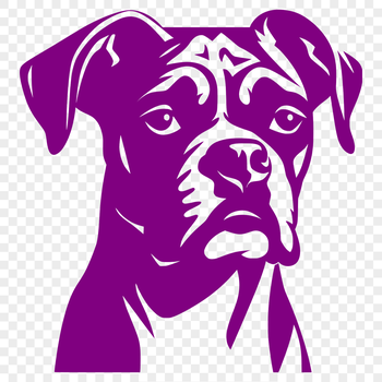 A detailed illustration of a Boxer dog's head, suitable for vector design.