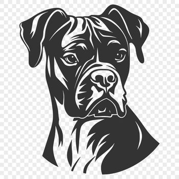 A high-quality illustration of a Boxer dog's head with detailed features.