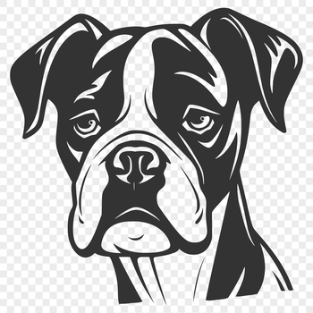 A digital illustration of a Boxer dog's head, suitable for various design purposes.