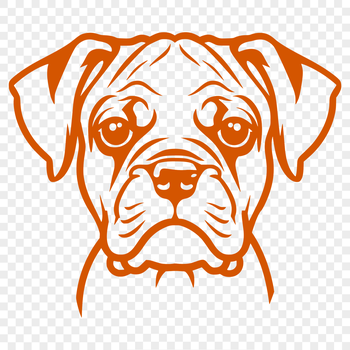 A detailed illustration of a Boxer dog's head with prominent features.