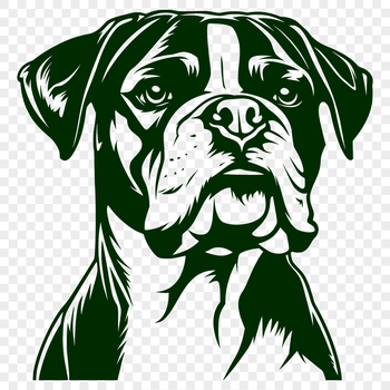 A detailed illustration of a Boxer dog's head and face.