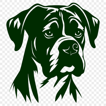A digital illustration of a Boxer's head from various angles.