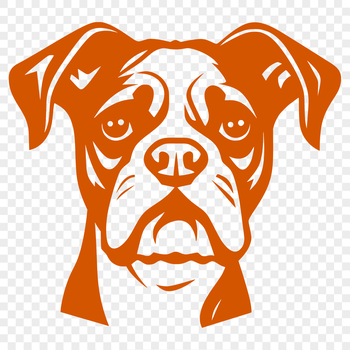 A vector illustration of a Boxer's head with facial features.