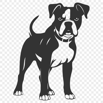 Close-up of a full-body illustration of a Boxer dog standing upright, suitable for vector art projects.