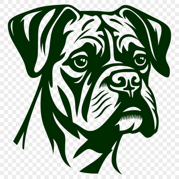 A high-quality illustration of a Boxer dog's head.