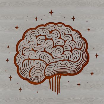 An anatomical illustration of the human brain in detailed cross-section.