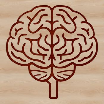 An SVG graphic representation of the brain's structure in a clear vector format.