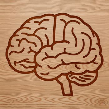 Vector graphic representation of the brain, suitable for various design applications.