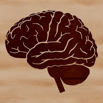 SVG diagram of the brain's structure and function, ideal for educational use and design projects.