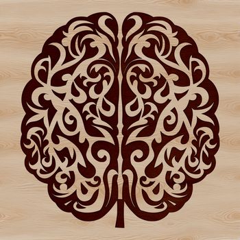 A detailed illustration of the human brain's anatomy, depicted in an ornate style suitable for vector design.