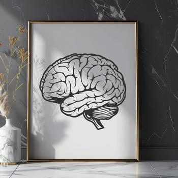A detailed illustration of the human brain's anatomy for educational and creative purposes.