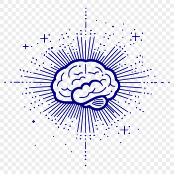 An illustrative diagram of the human brain's anatomy.