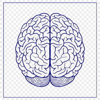Free Brain Stencil