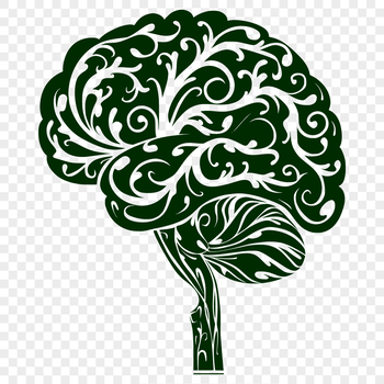 Anatomical illustration of the human brain with intricate details, suitable for educational purposes.