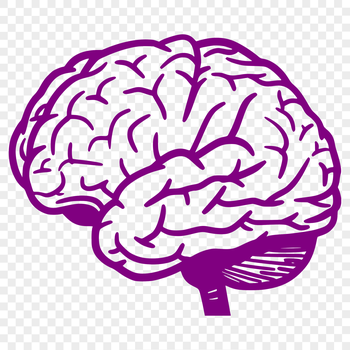 Vector design template of the human brain for graphic art projects.