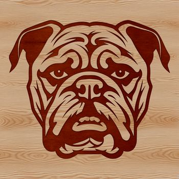 Close-up illustration of a bulldog's head, a popular pet animal breed.