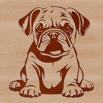 A sitting bulldog, a popular breed of domesticated dog.