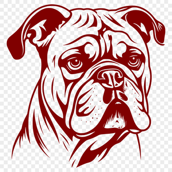 A close-up illustration of a bulldog's head, ideal for vector art projects.