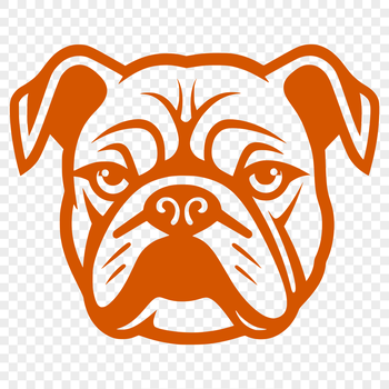 A detailed illustration of a bulldog's head, suitable for vector art projects.