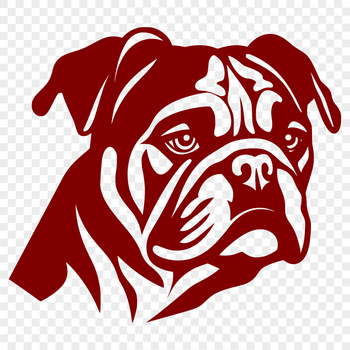 A digital illustration of a Bulldog's head, suitable for vector graphics and design projects.