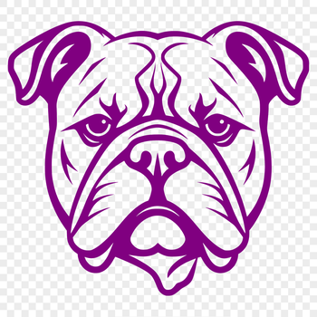 A close-up photograph of a bulldog's head.