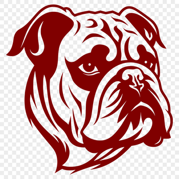 Close-up illustration of a bulldog's head, suitable for vector design projects.