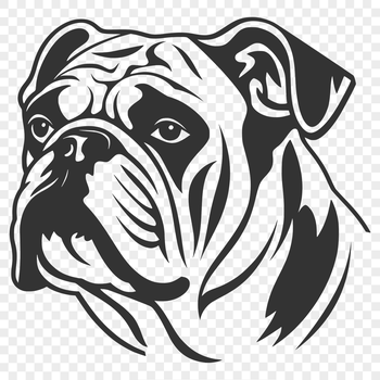 A close-up illustration of a bulldog's head, ideal for digital design projects.