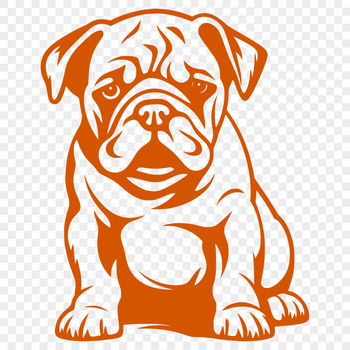 A full-body illustration of a sitting bulldog, suitable for vector art and clipart.