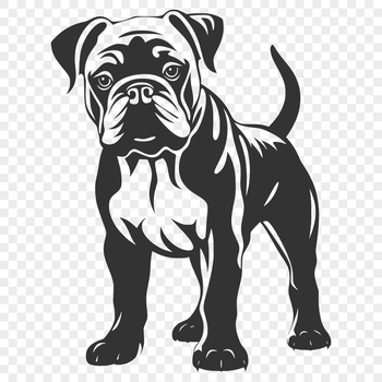 A full-body illustration of a Bulldog standing on all fours.
