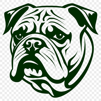 A detailed illustration of a Bulldog's head, suitable for vector graphics design.