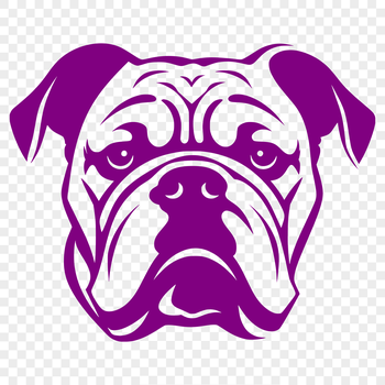 A close-up illustration of a bulldog's head, suitable for vector art projects.