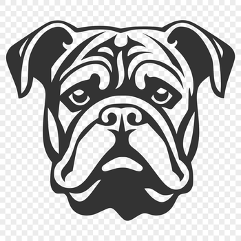 A detailed illustration of a bulldog's head, suitable for vector art and design.