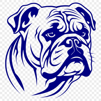 A detailed vector illustration of a bulldog's head with wrinkled skin and a flat face.