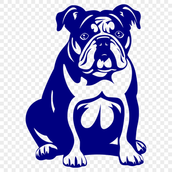 A stylized illustration of a Bulldog in full-body pose, suitable for vector graphic projects.