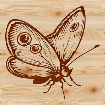 An illustration of a butterfly in flight, suitable for gardening and crafting projects.
