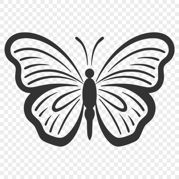 A colorful illustration of a cute butterfly from various angles.