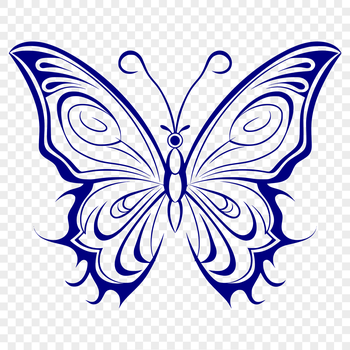 A detailed illustration of a butterfly's full body, showcasing its wings and colors.