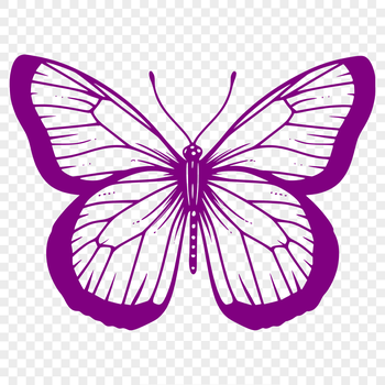 A colorful illustration of a full-body insect with delicate wings and body details.