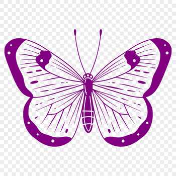 A detailed illustration of a butterfly's full body, featuring intricate details and patterns.