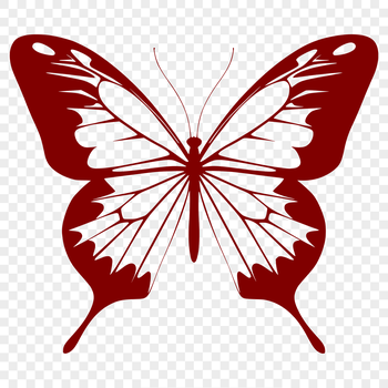 A full-body illustration of a colorful butterfly with intricate details.