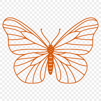 Stunning Butterfly Template