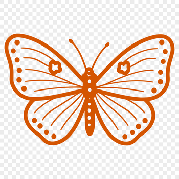A detailed illustration of a full body butterfly insect with intricate designs.