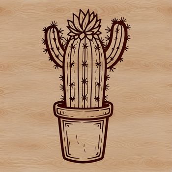 A vector graphic representation of a single stem cactus with sharp spines.
