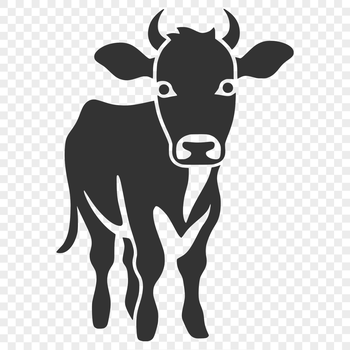 A full-body illustration of a cow, suitable for vector art and digital design projects.