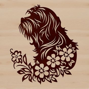 A stylized illustration of a Havanese dog's head in vector format.