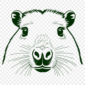 An illustration of a large semi-aquatic mammal native to grasslands and wetlands in South America.